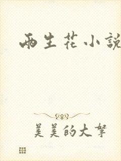 两生花小说