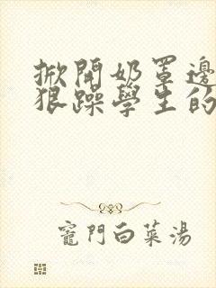 掀开奶罩边躁狠狠躁学生的小文字