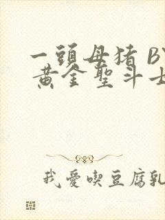 一头母猪 BY 黄金圣斗士