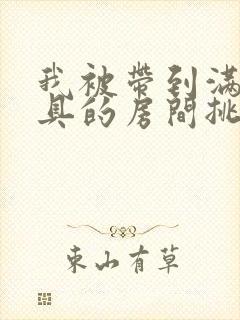 我被带到满是玩具的房间挑调作文