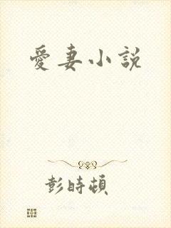 爱妻小说