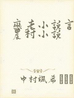 恋老小说言情网农村小说