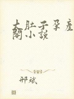 大肚子孕产笔趣阁小说