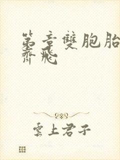 第章双胞胎姐妹齐飞