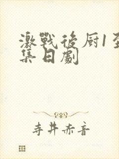 激战后厨1至5集日剧