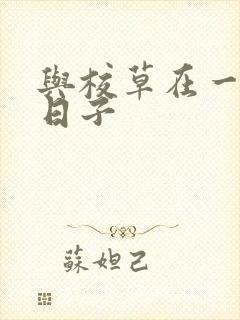 与校草在一起的日子