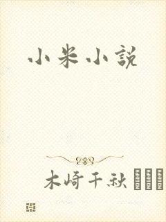 小米小说