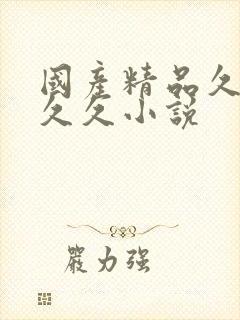 国产精品久久久久久小说