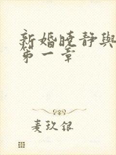 新婚晓静与翁公笫一章