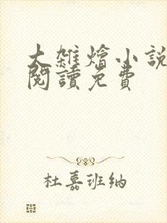 大杂烩小说全集阅读免费