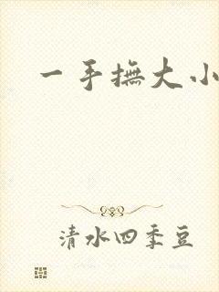 一手抚大小说
