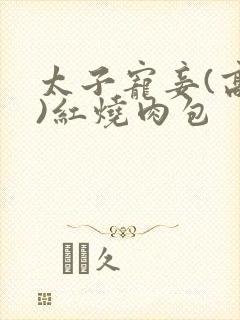 太子宠妾(高肉)红烧肉包