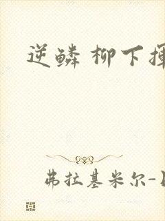 逆鳞 柳下挥