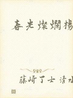 春光灿烂杨家将