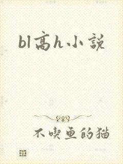 bl高h小说