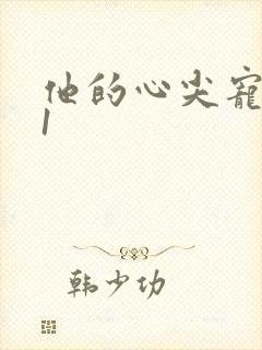 他的心尖宠1v1