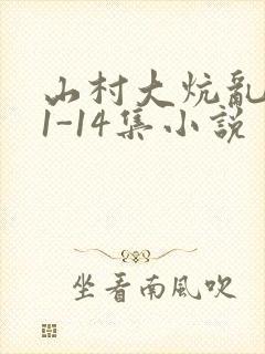 山村大炕乱肉续1-14集小说