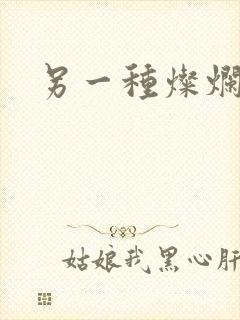 另一种灿烂生活