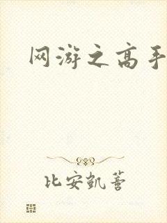 网游之高手寂寞