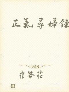 正气寻妇录
