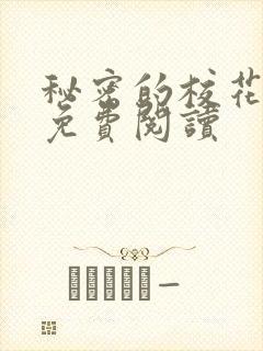 秘密的校花小说免费阅读