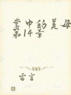 掌中的美母版主第14章