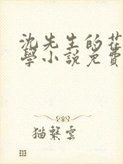 沈先生的花式教学小说免费