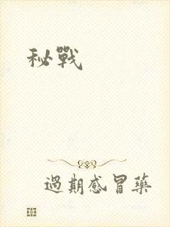 秘战