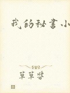 我的秘书小姐