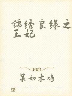 锦绣良缘之北地王妃