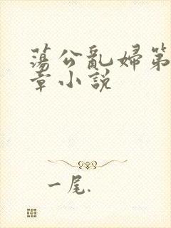 荡公乱妇第51章小说