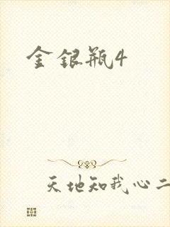 金银瓶4