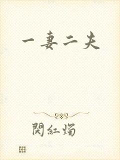 一妻二夫