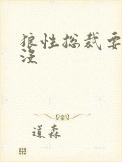 狼性总裁要够了没