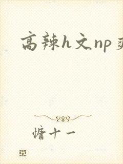高辣h文np爽