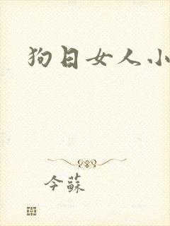 狗日女人小说