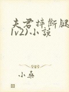 夫君摔断腿后(1v2)小说