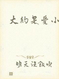 大约是爱小说