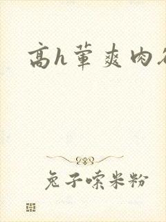 高h荤爽肉欲文