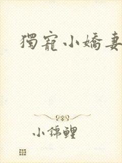 独宠小娇妻
