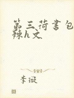 第三荷书包网高辣h文