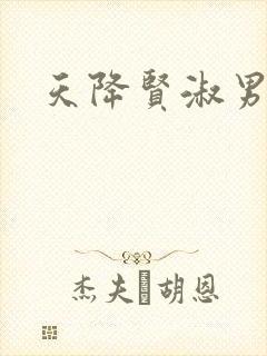 天降贤淑男小说