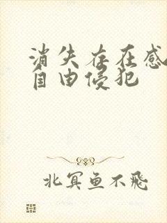 消失存在感消失自由侵犯