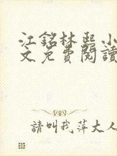 江铭林熙小说全文免费阅读