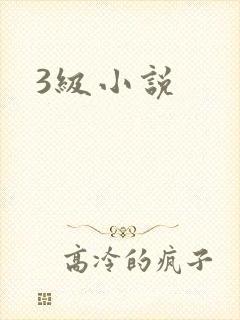 3级小说
