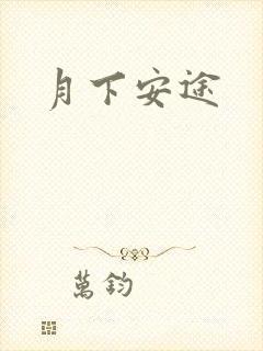 月下安途