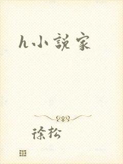 h小说家
