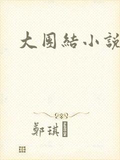 大团结小说阅读