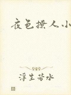 夜色撩人小说