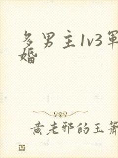 多男主1v3军婚